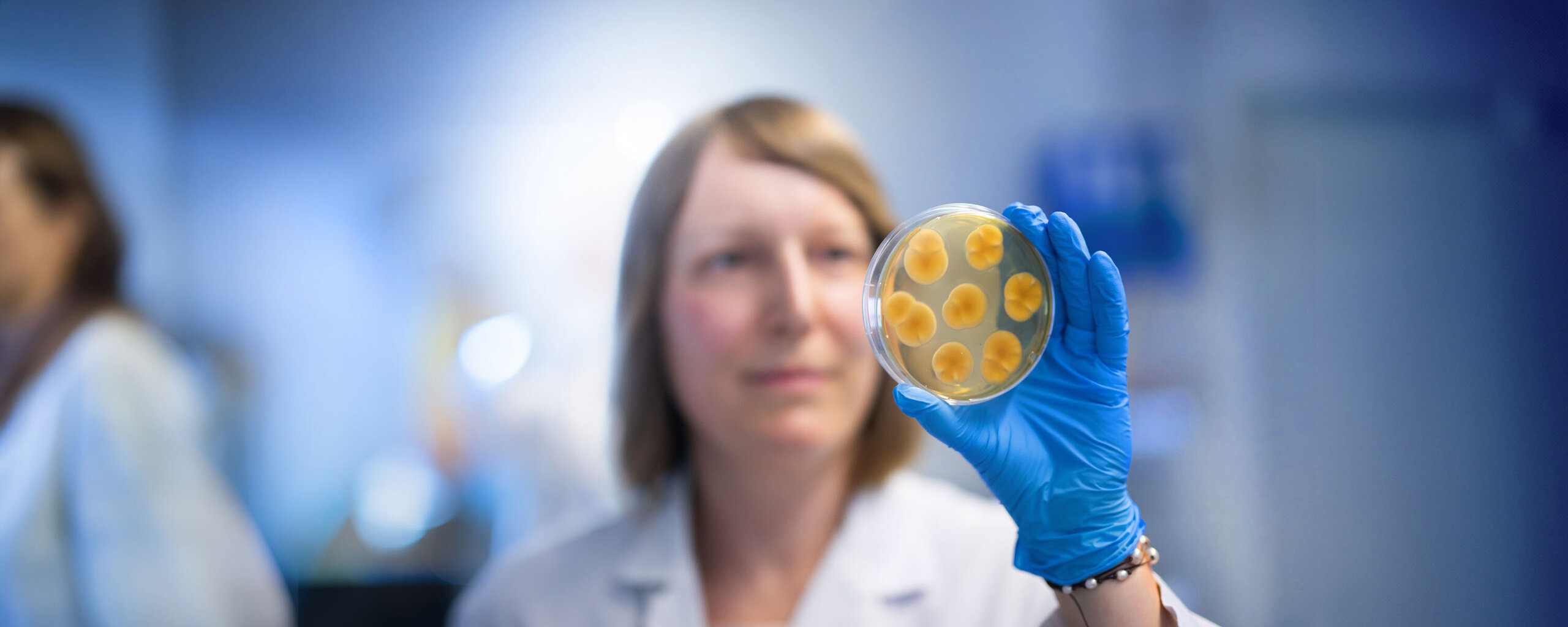 Die Labormitarbeiterin Maite Tresch begutachtet eine bewachsene Schimmelplatte